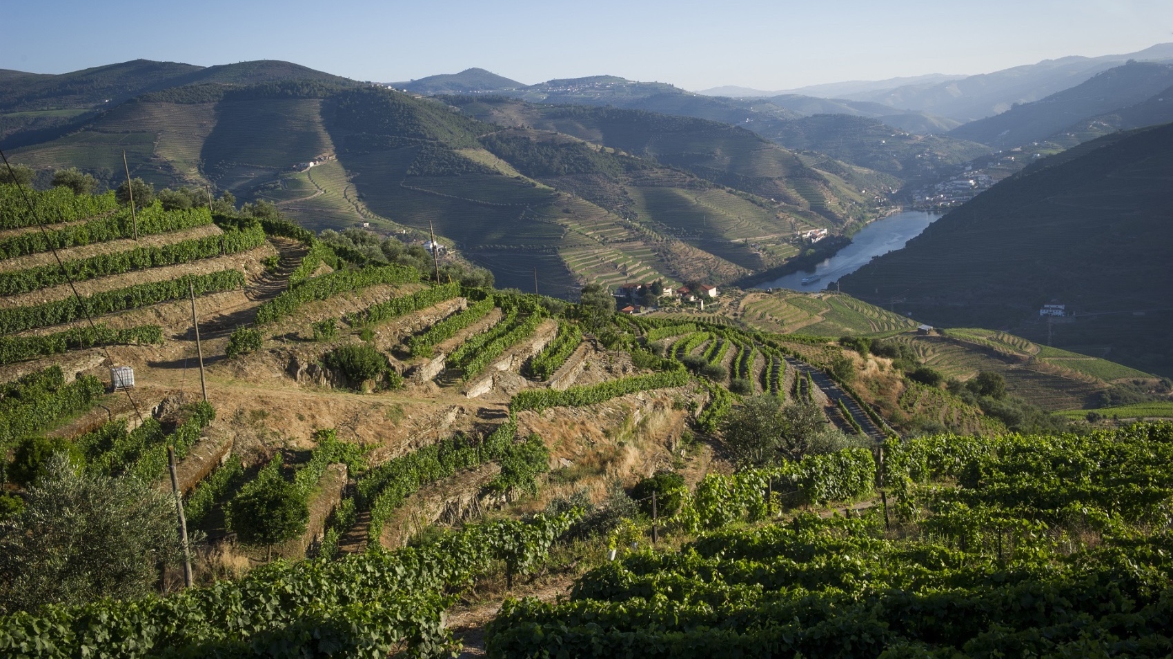 Port Wine Weekend Break douro valley